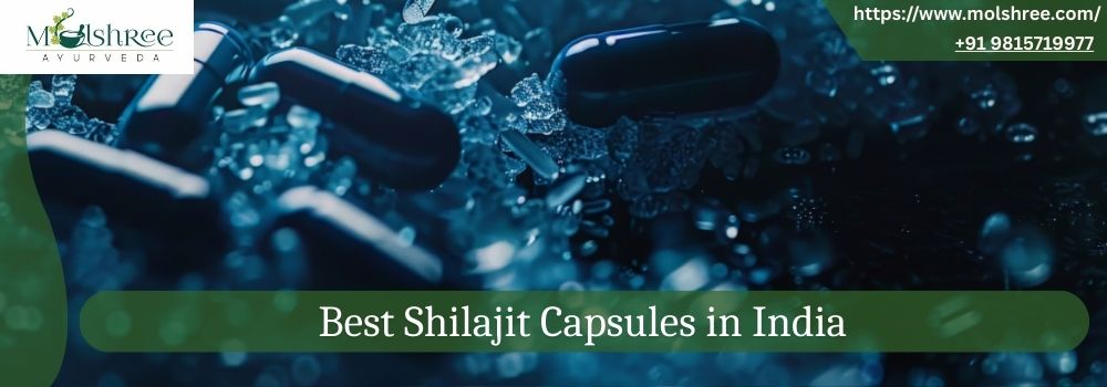 Best Shilajit Capsules in India