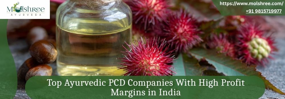 Top Ayurvedic PCD Companies With High Profit Margins in India
